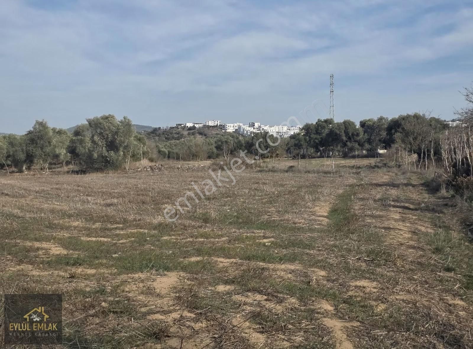 Bodrum Mumcularda 4.312 M² Yol Cepheli Kaçırılmayacak Fırsat - Görsel 4