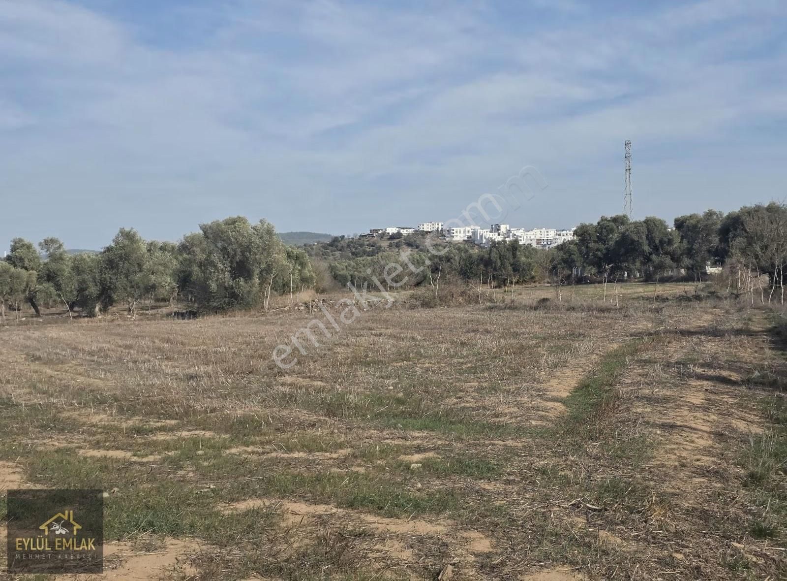 Bodrum Mumcularda 4.312 M² Yol Cepheli Kaçırılmayacak Fırsat - Görsel 8