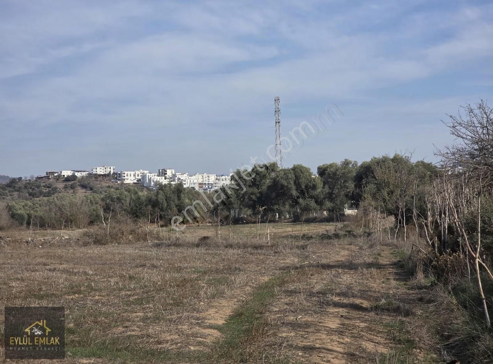 Bodrum Mumcularda 4.312 M² Yol Cepheli Kaçırılmayacak Fırsat - Görsel 6