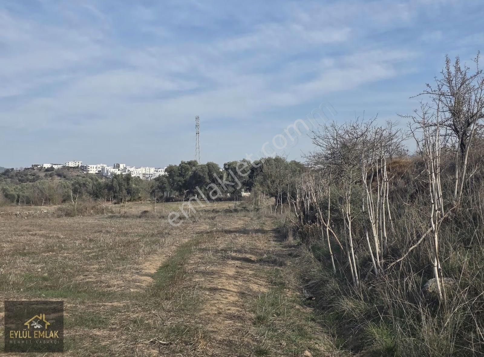 Bodrum Mumcularda 4.312 M² Yol Cepheli Kaçırılmayacak Fırsat - Görsel 2