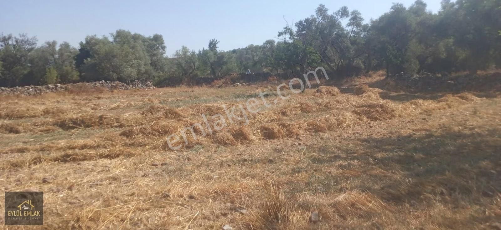 Muğla Milas Balcılar Mahallesinde Köy İçi 1.298 M2 - Görsel 15