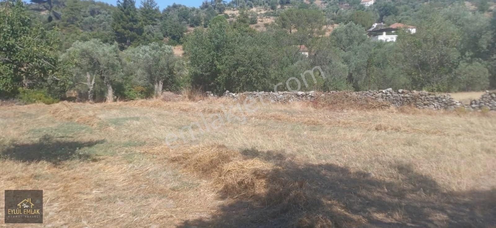 Muğla Milas Balcılar Mahallesinde Köy İçi 1.298 M2 - Görsel 14