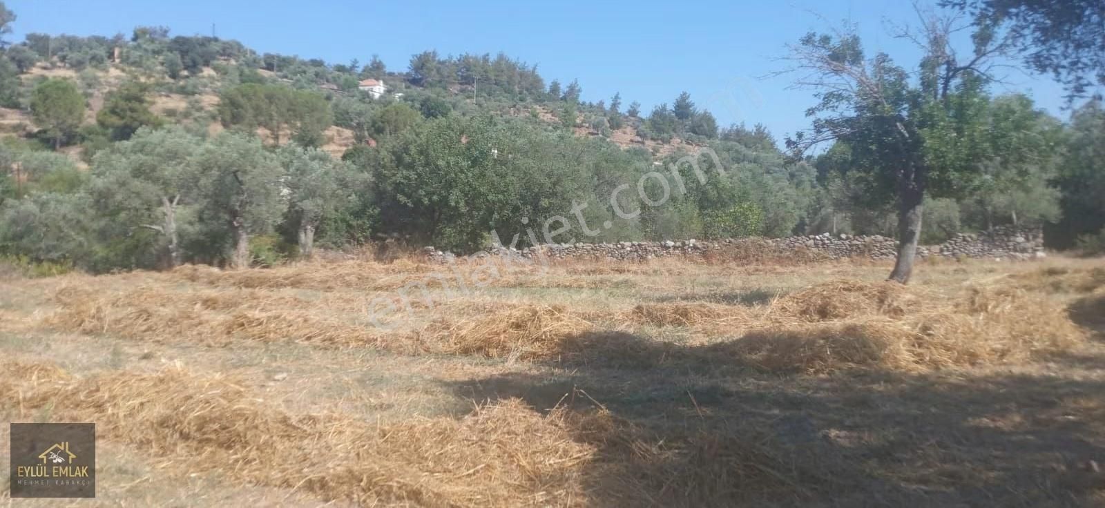 Muğla Milas Balcılar Mahallesinde Köy İçi 1.298 M2 - Görsel 4