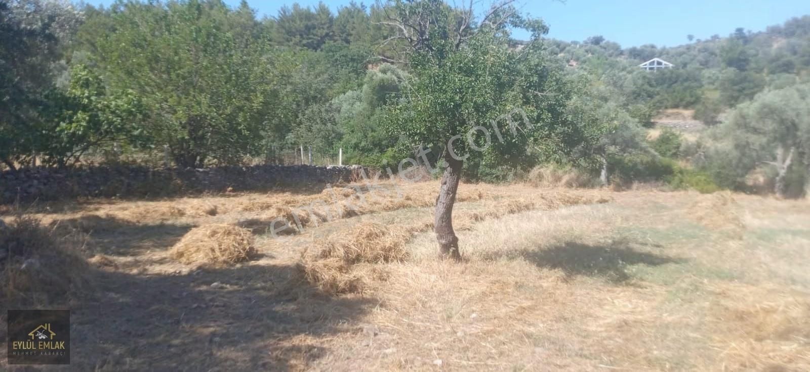 Muğla Milas Balcılar Mahallesinde Köy İçi 1.298 M2 - Görsel 2