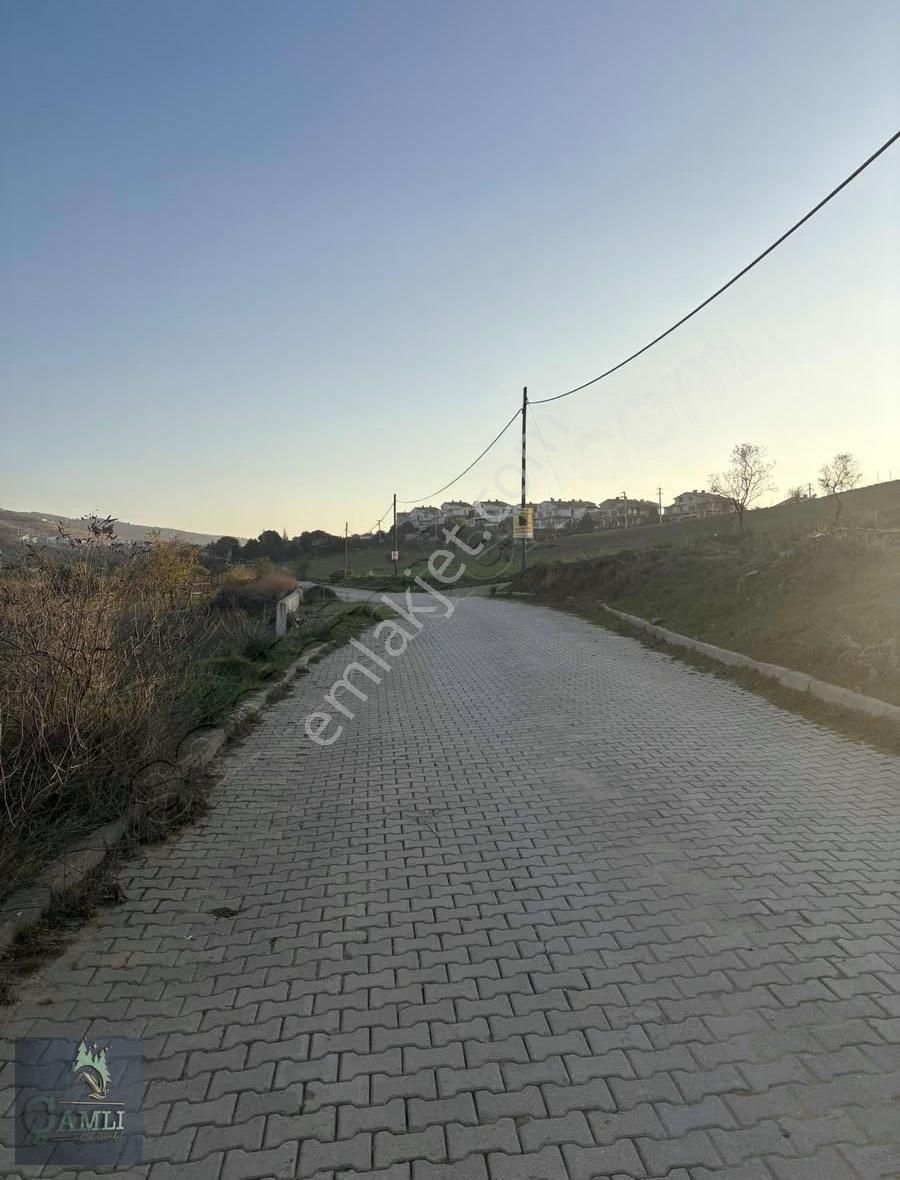 Çamlı Gayrimenkulden Yatırım Fırsatı - Görsel 3