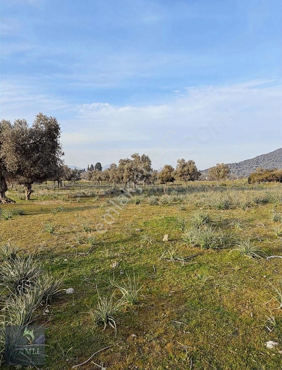 Çamlı Gayrimenkulden Yatırım Fırsatı - Görsel 16