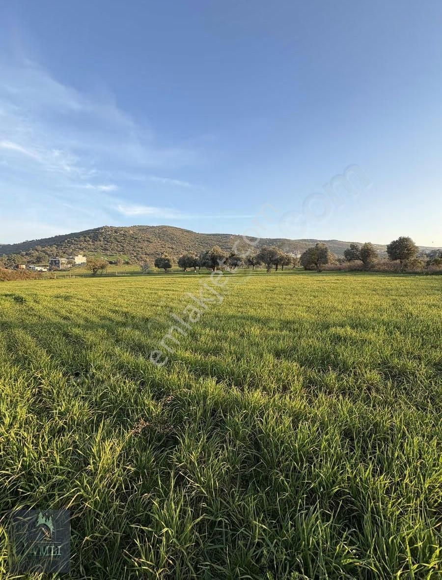 Çamlı Gayrimenkulden Yatırım Fırsatı - Görsel 8