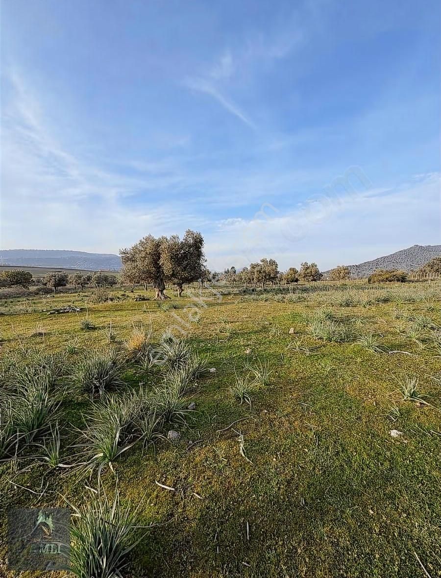 Çamlı Gayrimenkulden Yatırım Fırsatı - Görsel 11