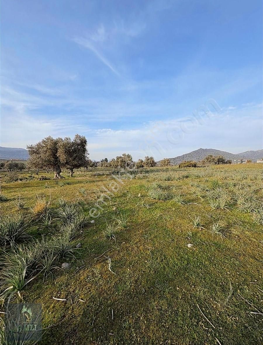 Çamlı Gayrimenkulden Yatırım Fırsatı - Görsel 10