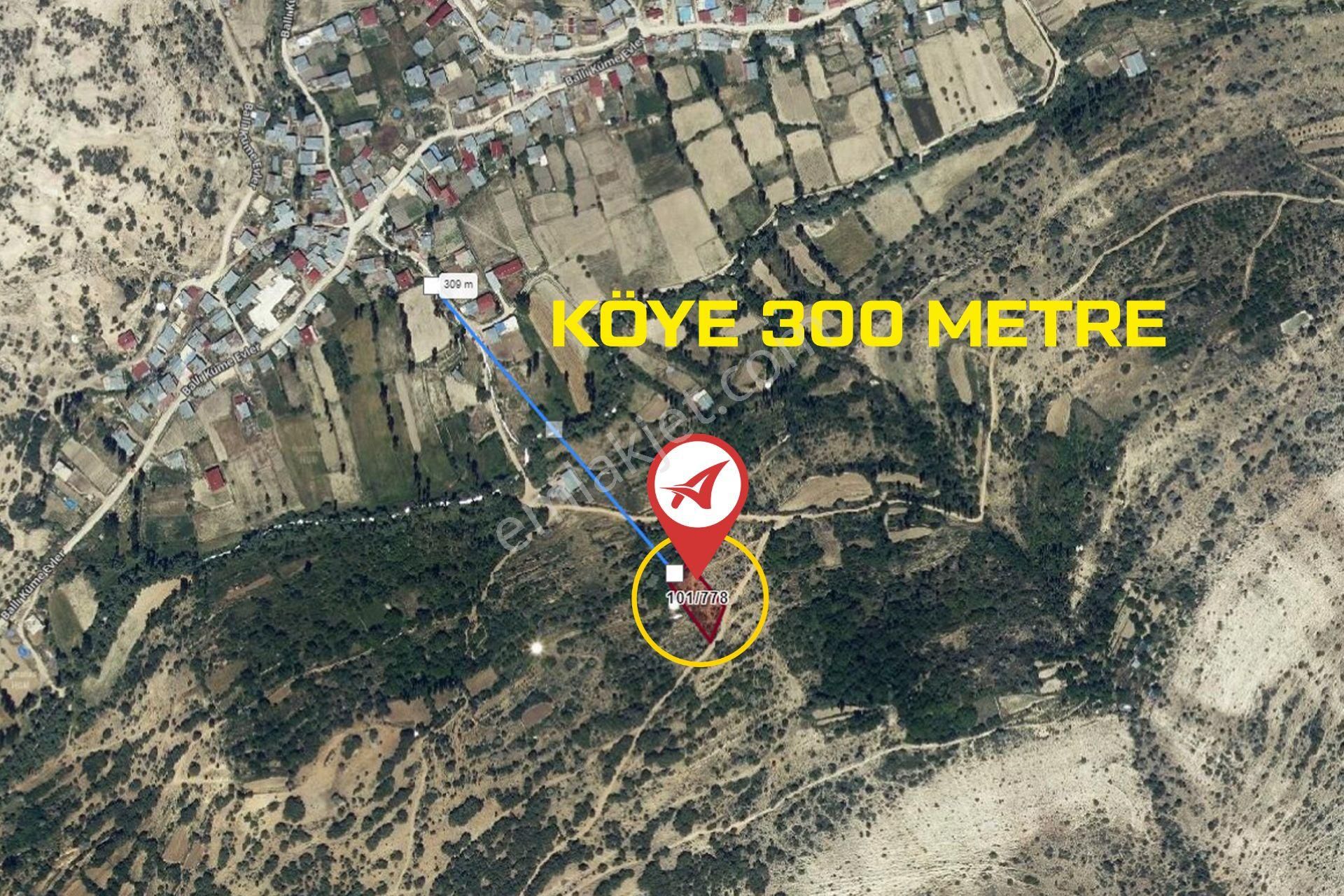 Mersin Mut Ballı Satılık 1375m2 Meyve Bahçesi - Görsel 10