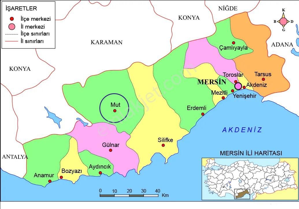 Mersin Mut Ballı Satılık 1375m2 Meyve Bahçesi - Görsel 19