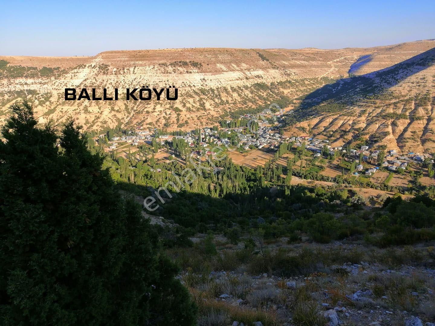 Mersin Mut Ballı Satılık 1375m2 Meyve Bahçesi - Görsel 13