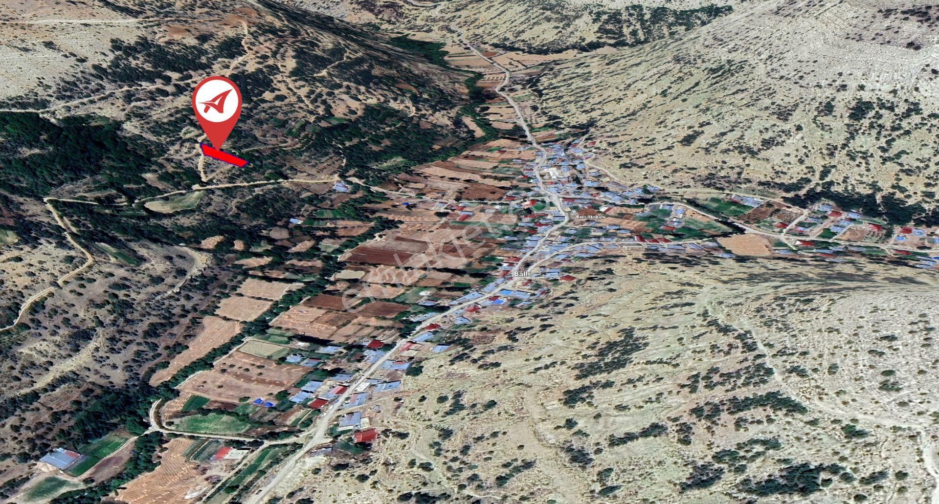 Mersin Mut Ballı Satılık 1375m2 Meyve Bahçesi - Görsel 5