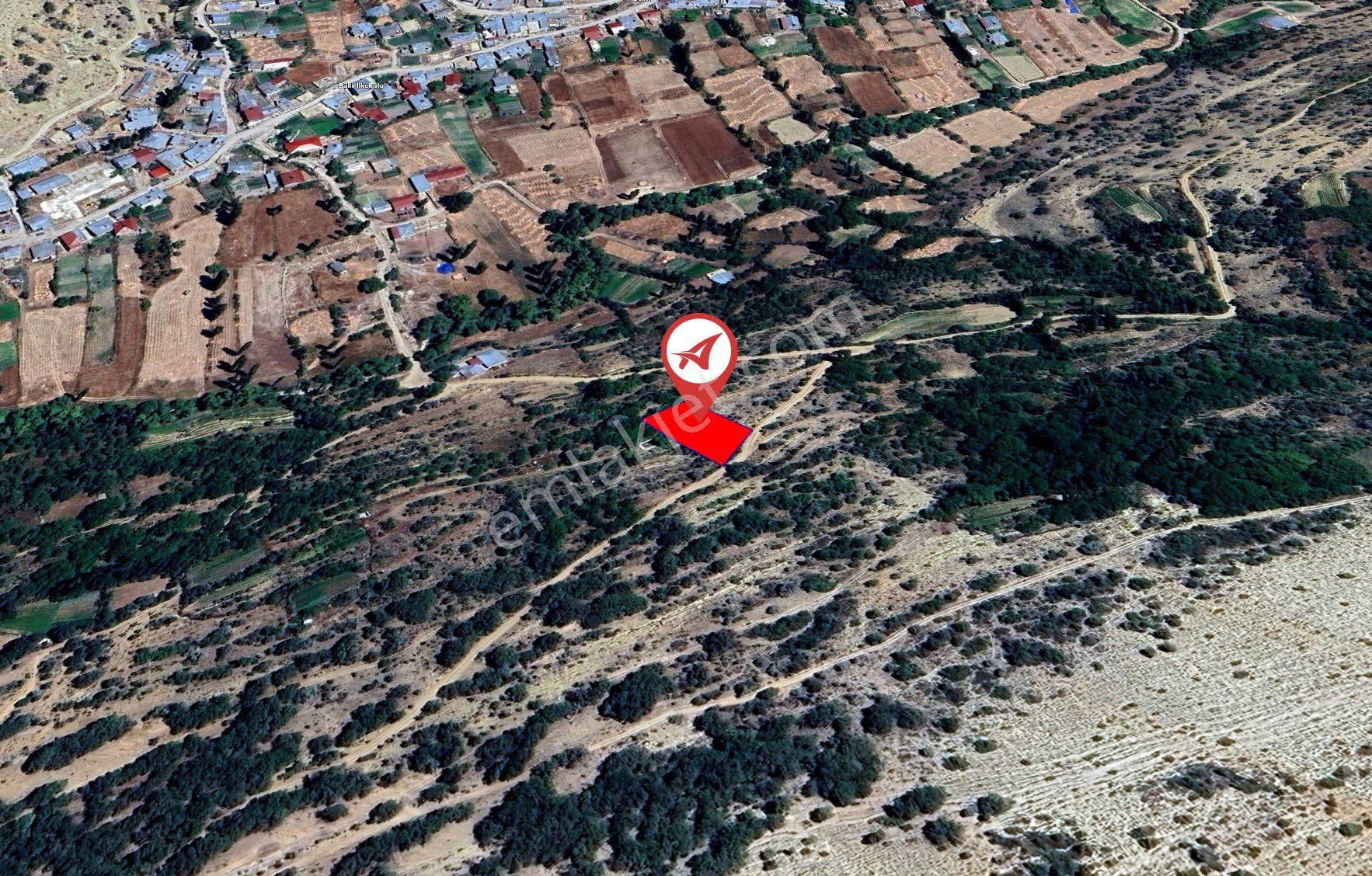 Mersin Mut Ballı Satılık 1375m2 Meyve Bahçesi - Görsel 2