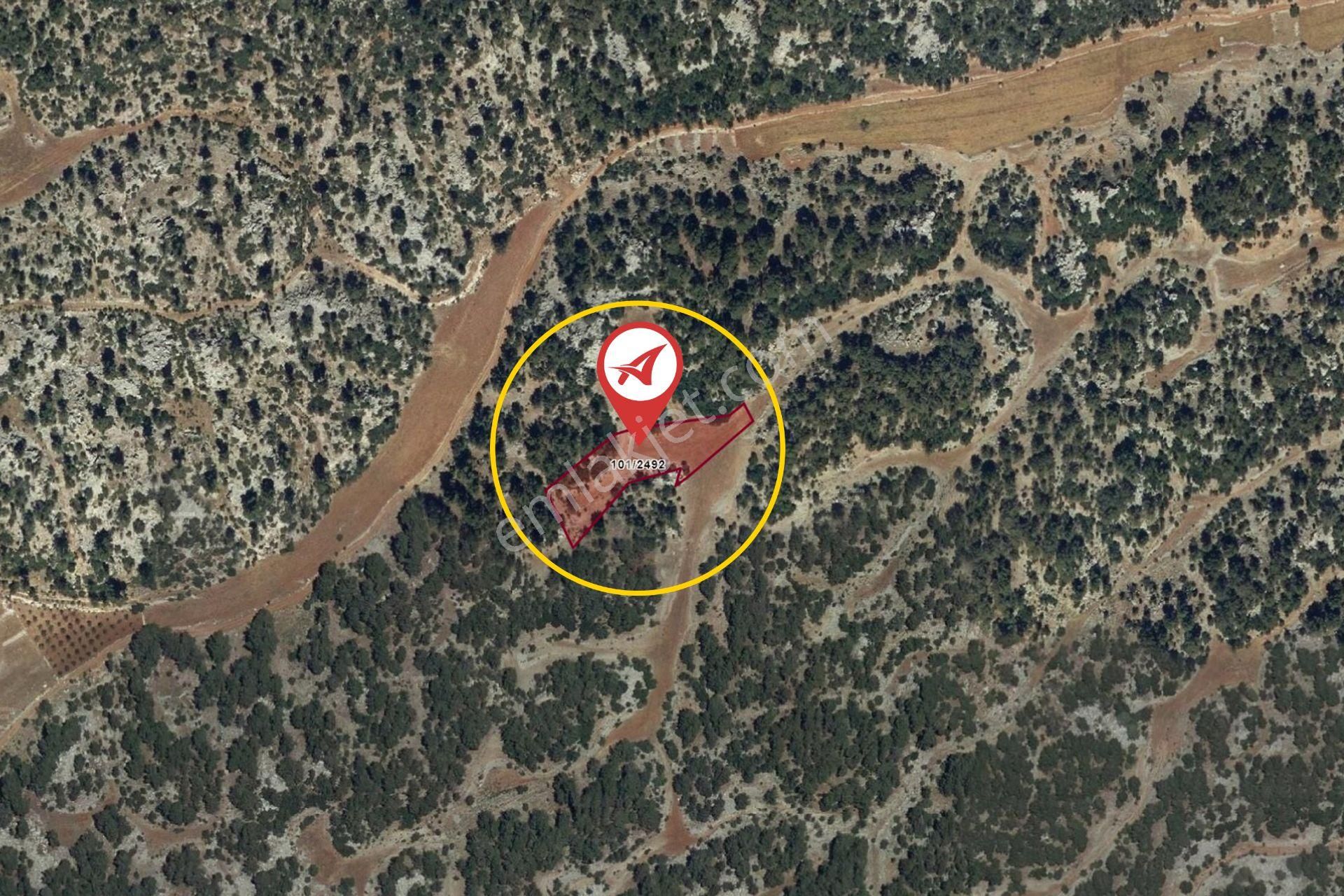 Mersin Aydıncık Pembecik Satılık 3378m2 Tarla - Görsel 4