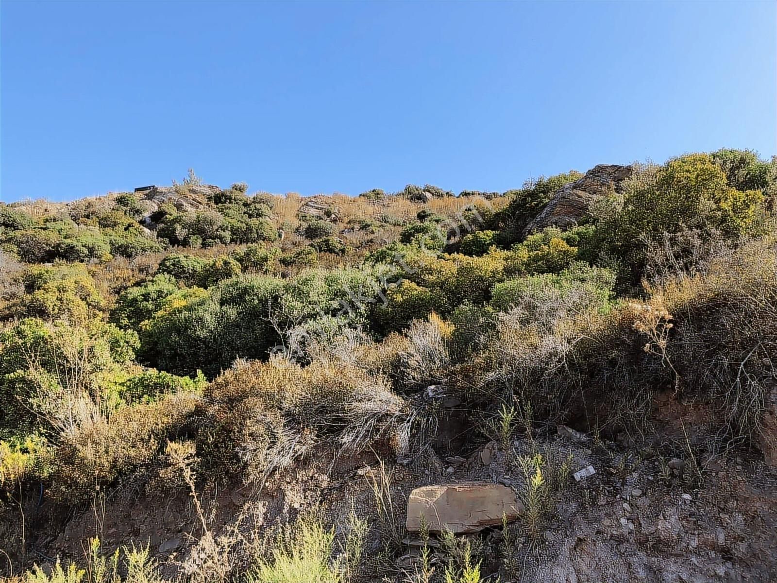 Bodrum Adabükü'nde Deniz Manzaralı Satılık Arsa - Görsel 2