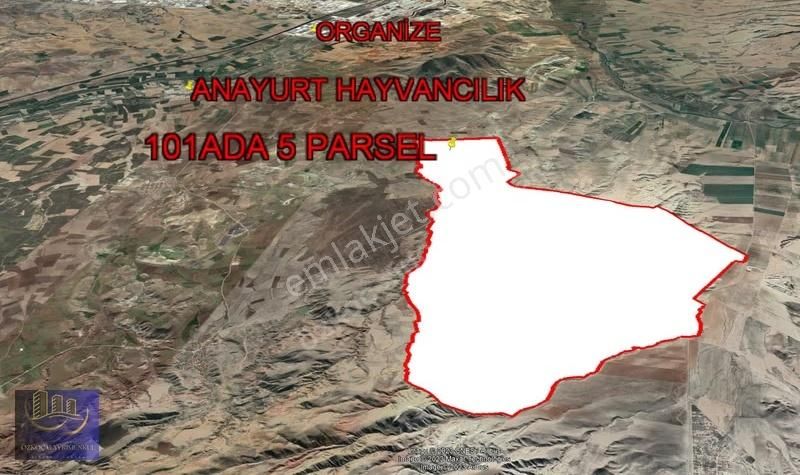 Ayaş Tekke Gülören 101 Ada 5 Parsel 1.000m² Emsalsiz Fiyat Hisse