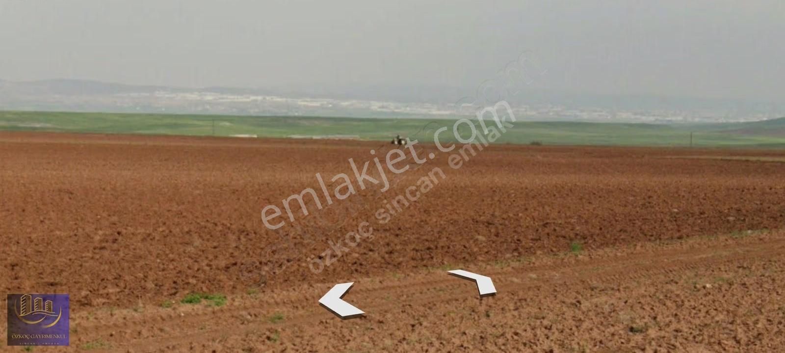 Ayaş Tekke Gülören 101 Ada 5 Parsel 1.000m² Emsalsiz Fiyat Hisse - Görsel 11