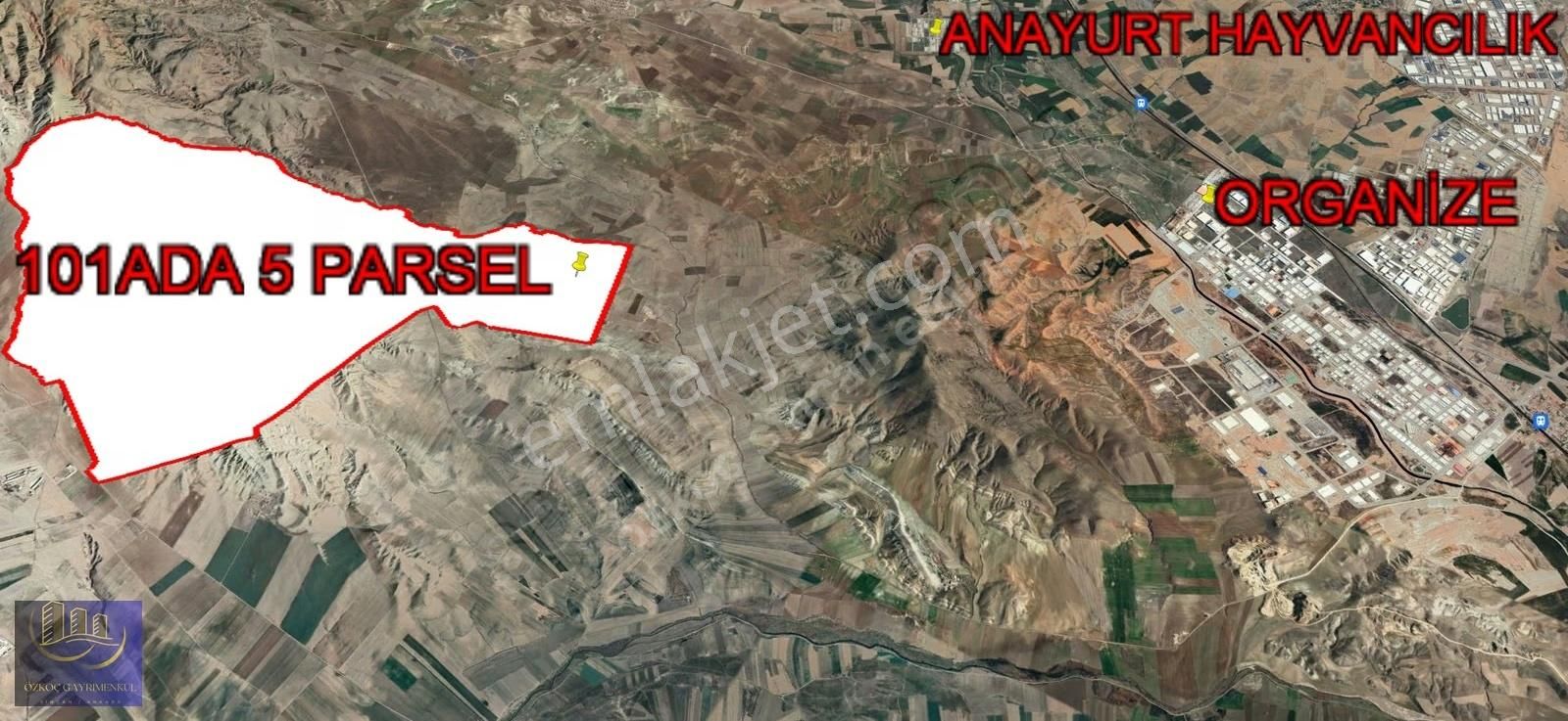 Ayaş Tekke Gülören 101 Ada 5 Parsel 1.000m² Emsalsiz Fiyat Hisse - Görsel 30