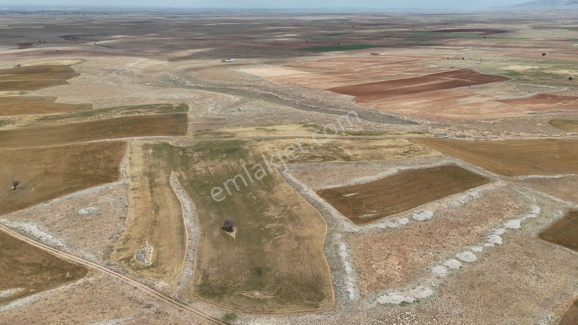 Konya / Meram / Kayhüyük Mahallesinde 6.063 M² Hisse Tapulu Tarla - Görsel 2