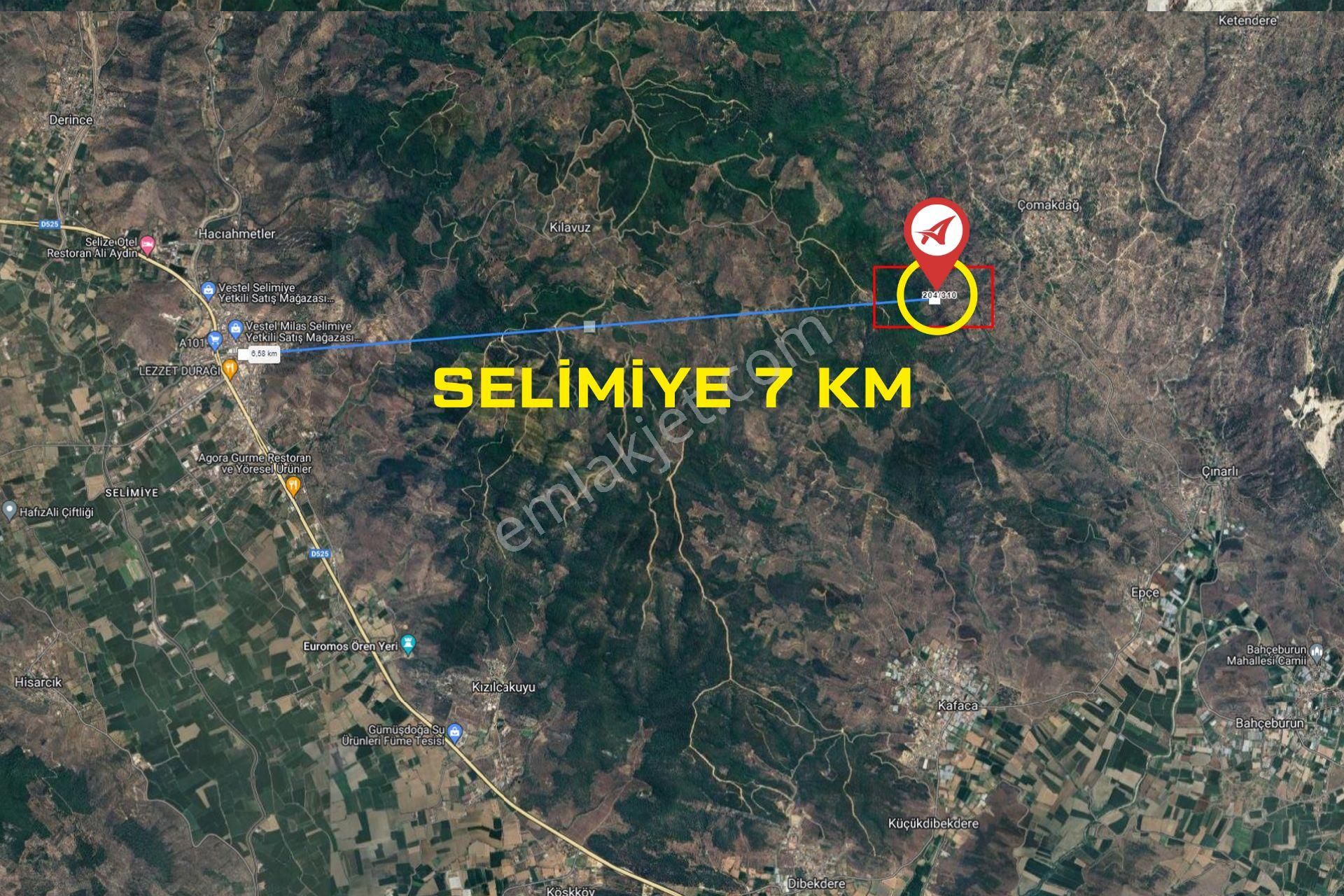 Muğla-milas-cokmakdagkızılagac-satılık-1409m2zeytınlık - Görsel 12