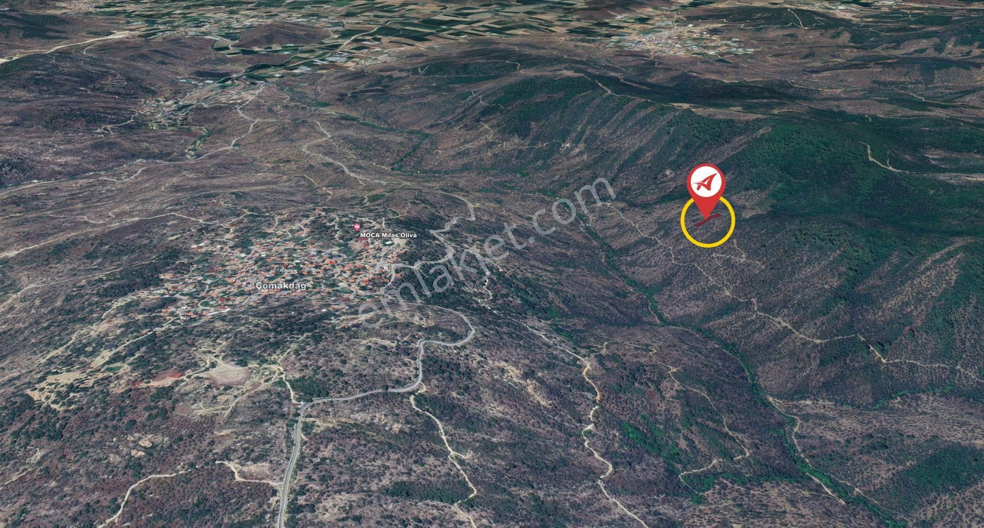 Muğla-milas-cokmakdagkızılagac-satılık-1409m2zeytınlık - Görsel 6