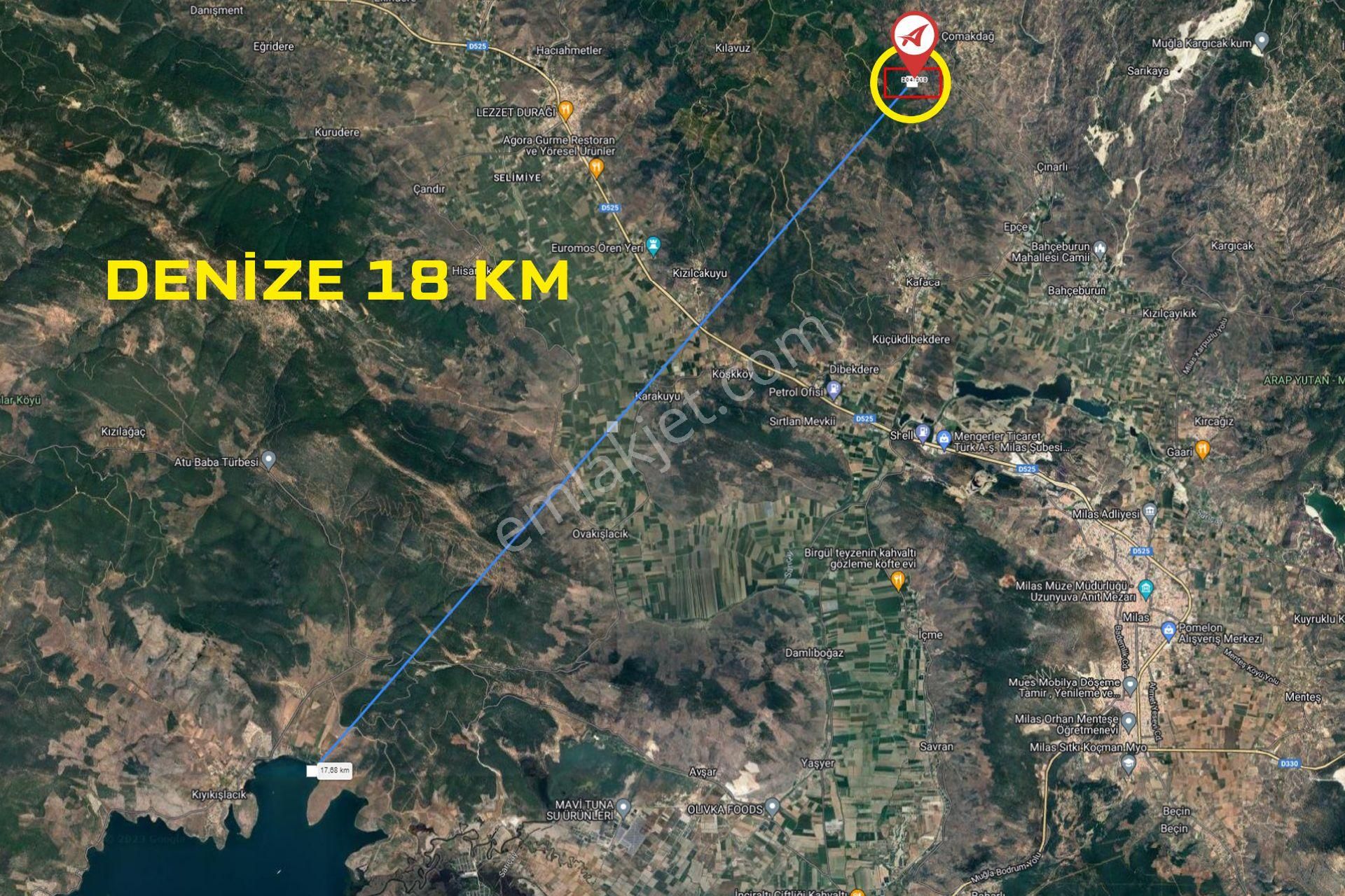 Muğla-milas-cokmakdagkızılagac-satılık-1409m2zeytınlık - Görsel 14