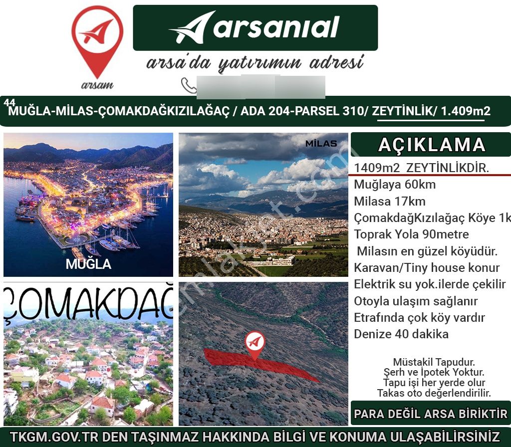 Muğla-milas-cokmakdagkızılagac-satılık-1409m2zeytınlık