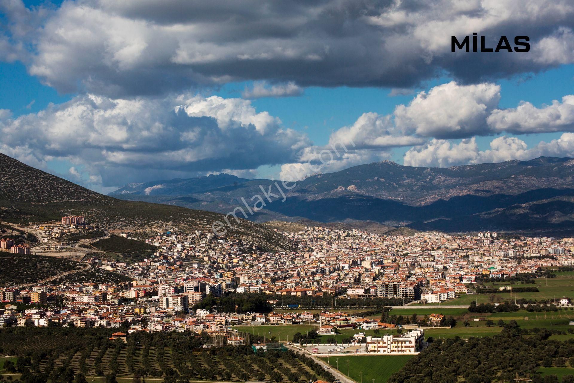 Muğla-milas-cokmakdagkızılagac-satılık-1409m2zeytınlık - Görsel 24