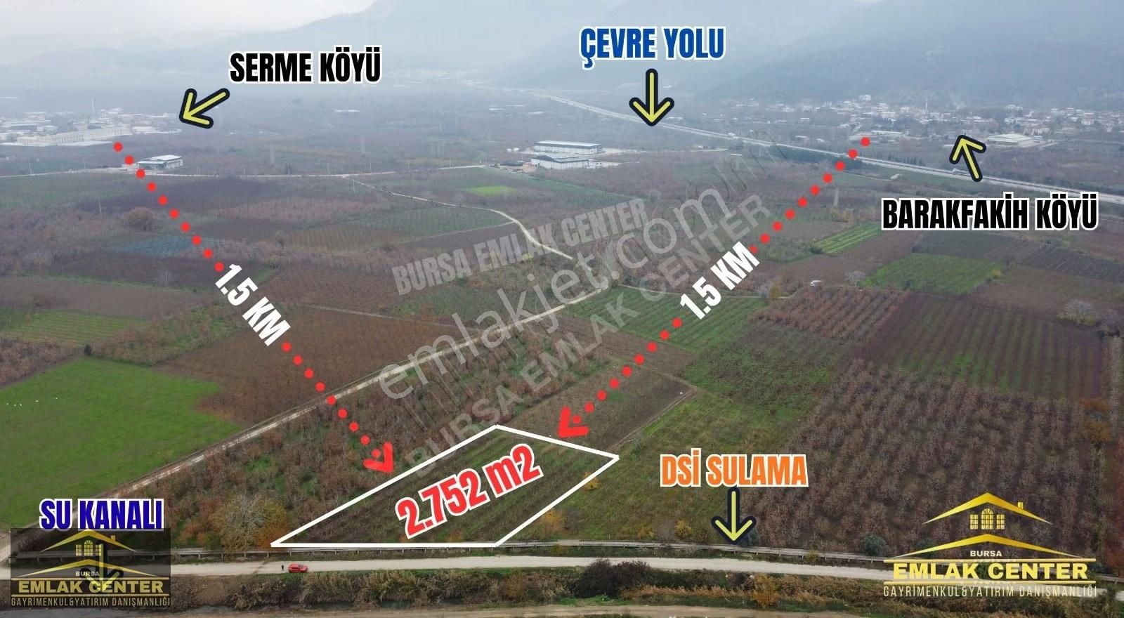 Kestel Barakfakihte 2752 M2 Şeftali Bahçesi
