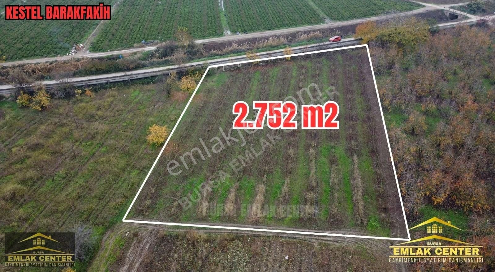 Kestel Barakfakihte 2752 M2 Şeftali Bahçesi - Görsel 8