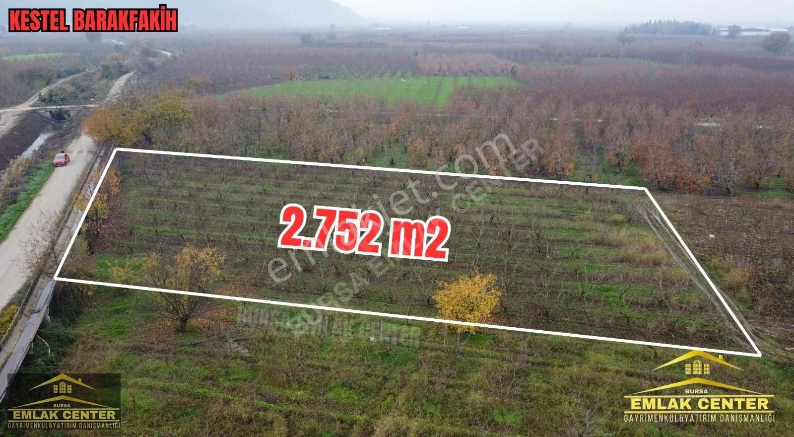 Kestel Barakfakihte 2752 M2 Şeftali Bahçesi - Görsel 15