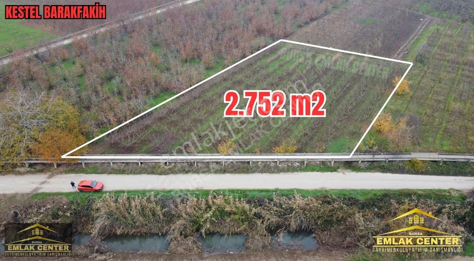 Kestel Barakfakihte 2752 M2 Şeftali Bahçesi - Görsel 4