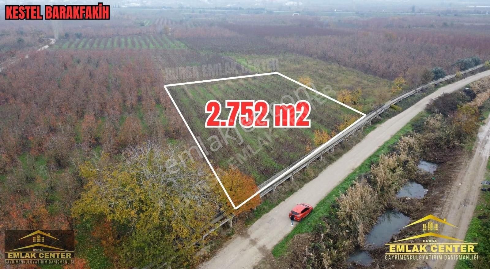 Kestel Barakfakihte 2752 M2 Şeftali Bahçesi - Görsel 10