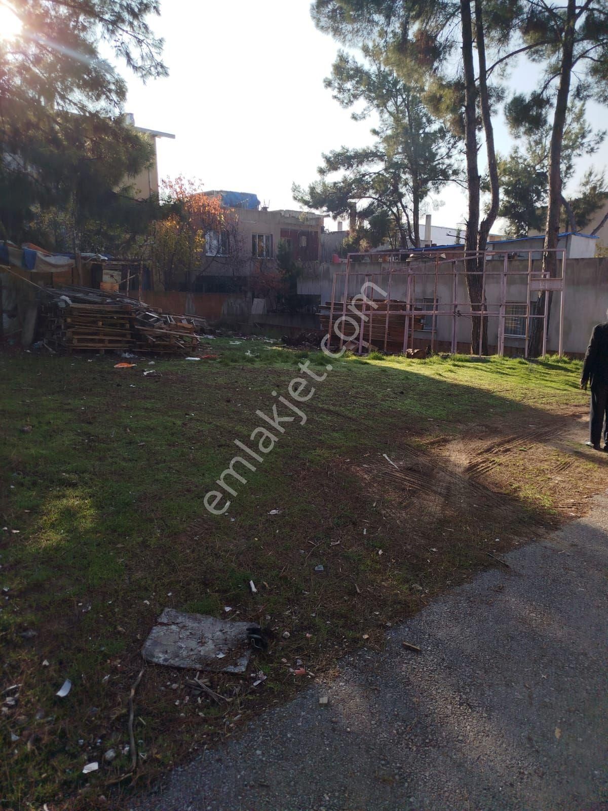 İzmir Buca Zafer Mh Olduruk 200 Mk Tarla Satılık - Görsel 2