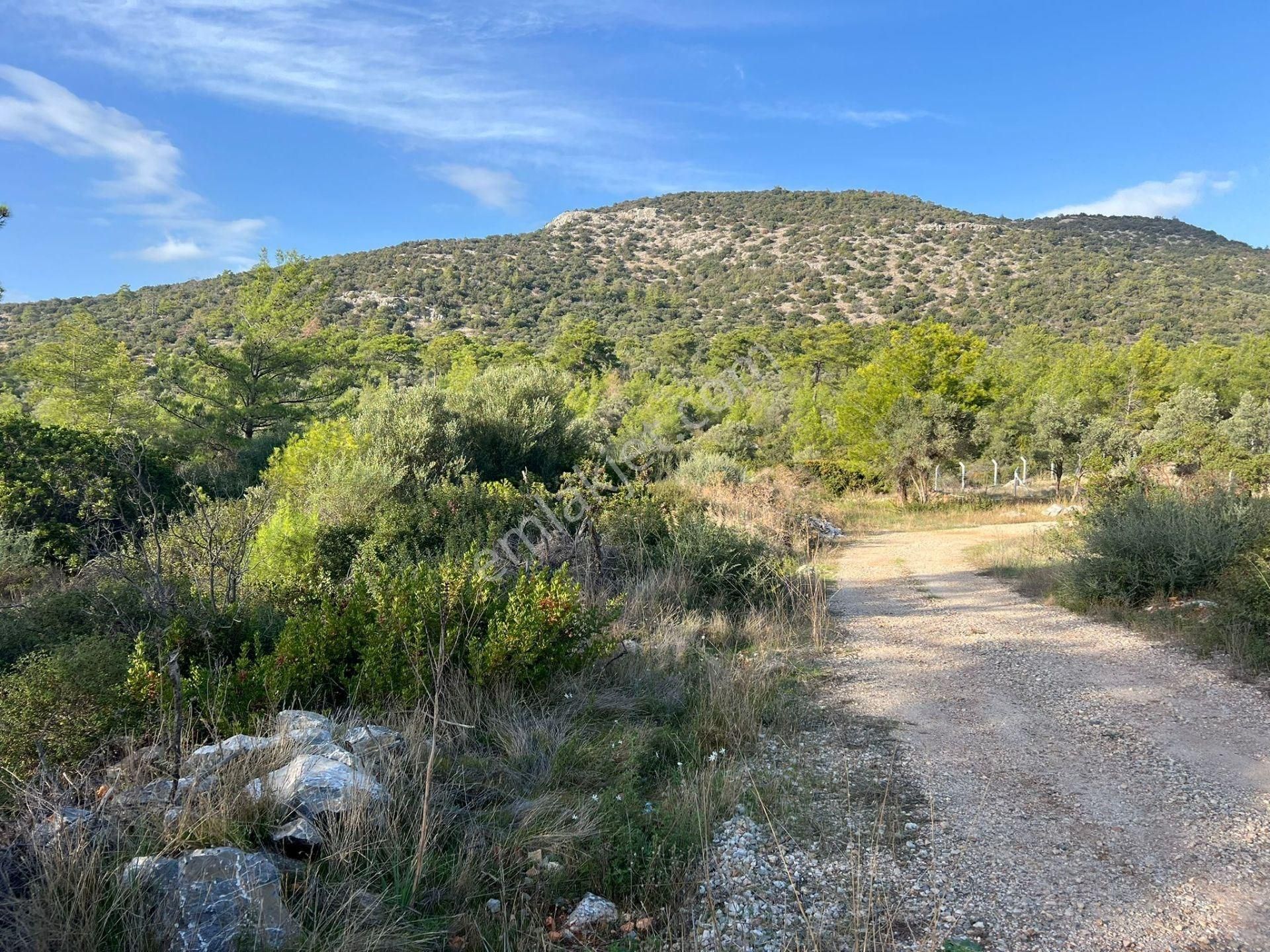 Fiyatı Düştü!!!!! Müstakil Villa Arsası - Görsel 3