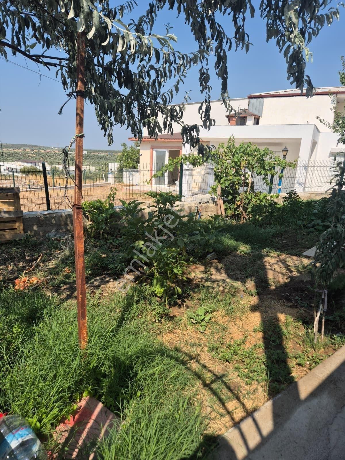 Masrafsız Havuzlu 3+1 Sitede Villa - Görsel 2