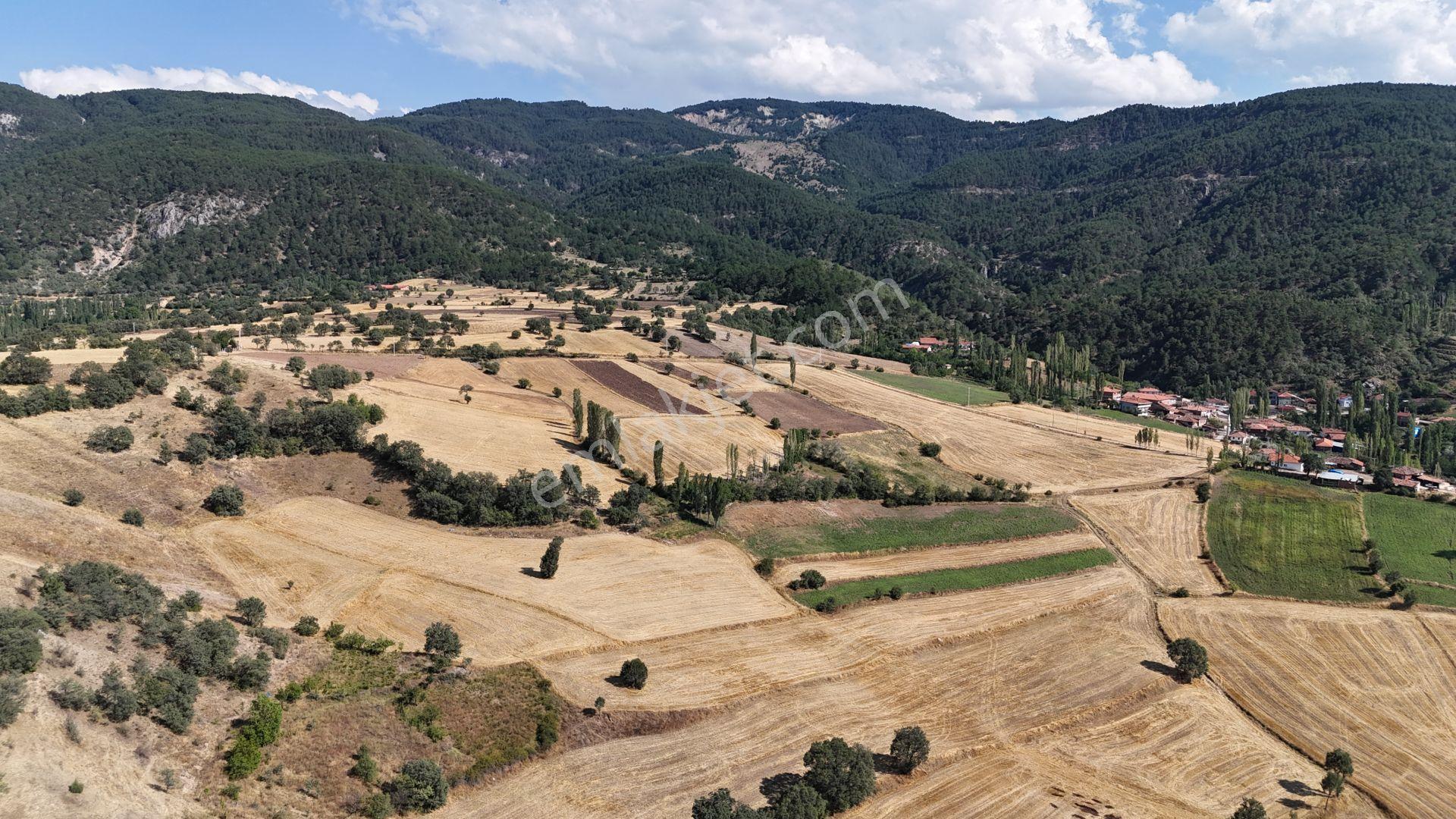 Amasya / Hamamözü / Dede Köy De 4.766 M² Müstakil Tarla - Görsel 4