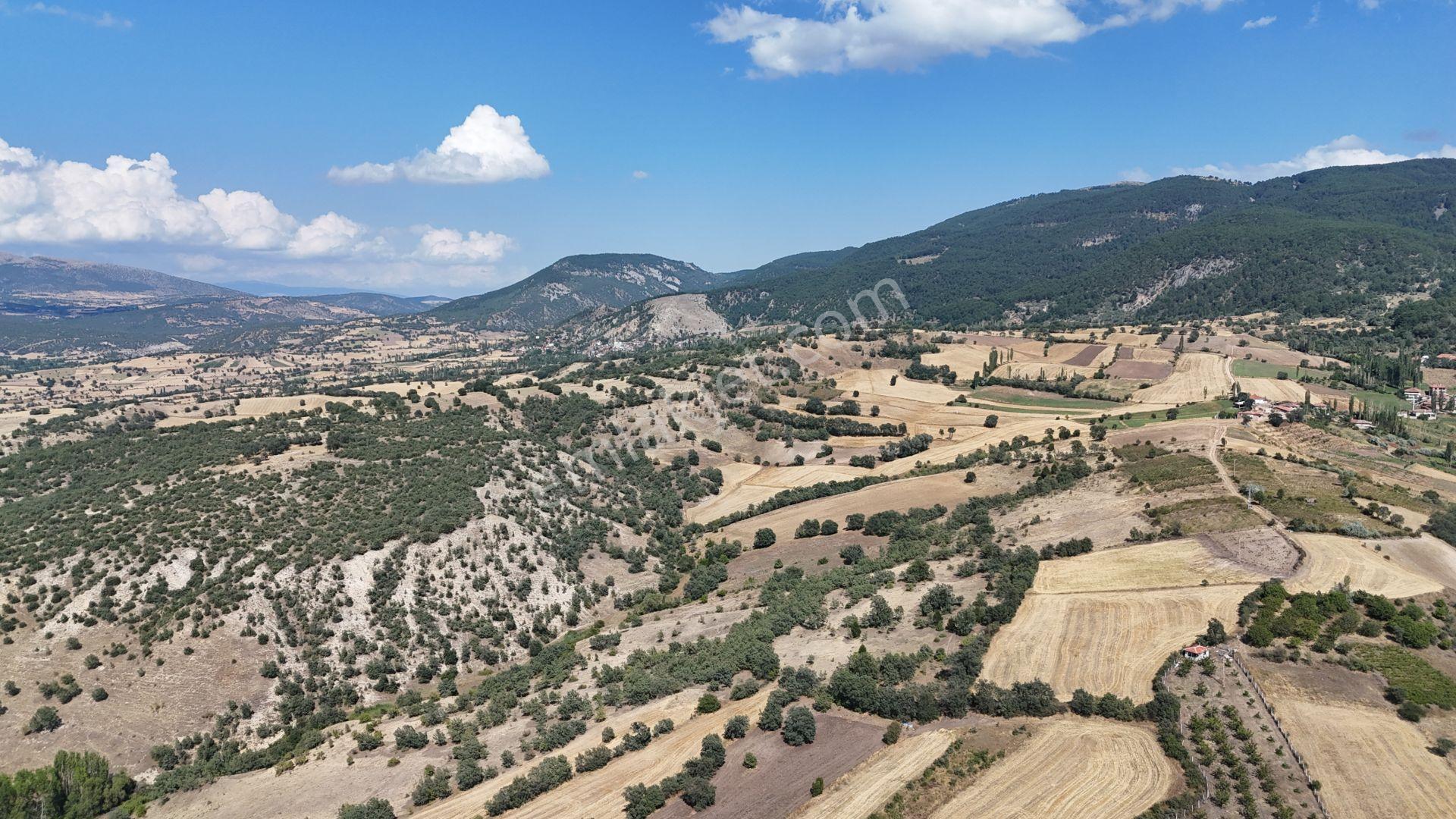 Amasya / Hamamözü / Dede Köy De 4.766 M² Müstakil Tarla - Görsel 2