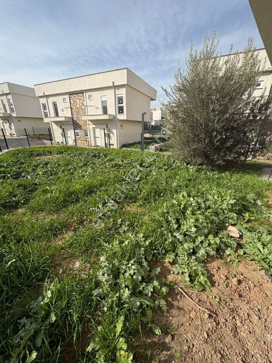 Keremköy Sahilde Dağa Ile İç İçe Yazlık - Görsel 6