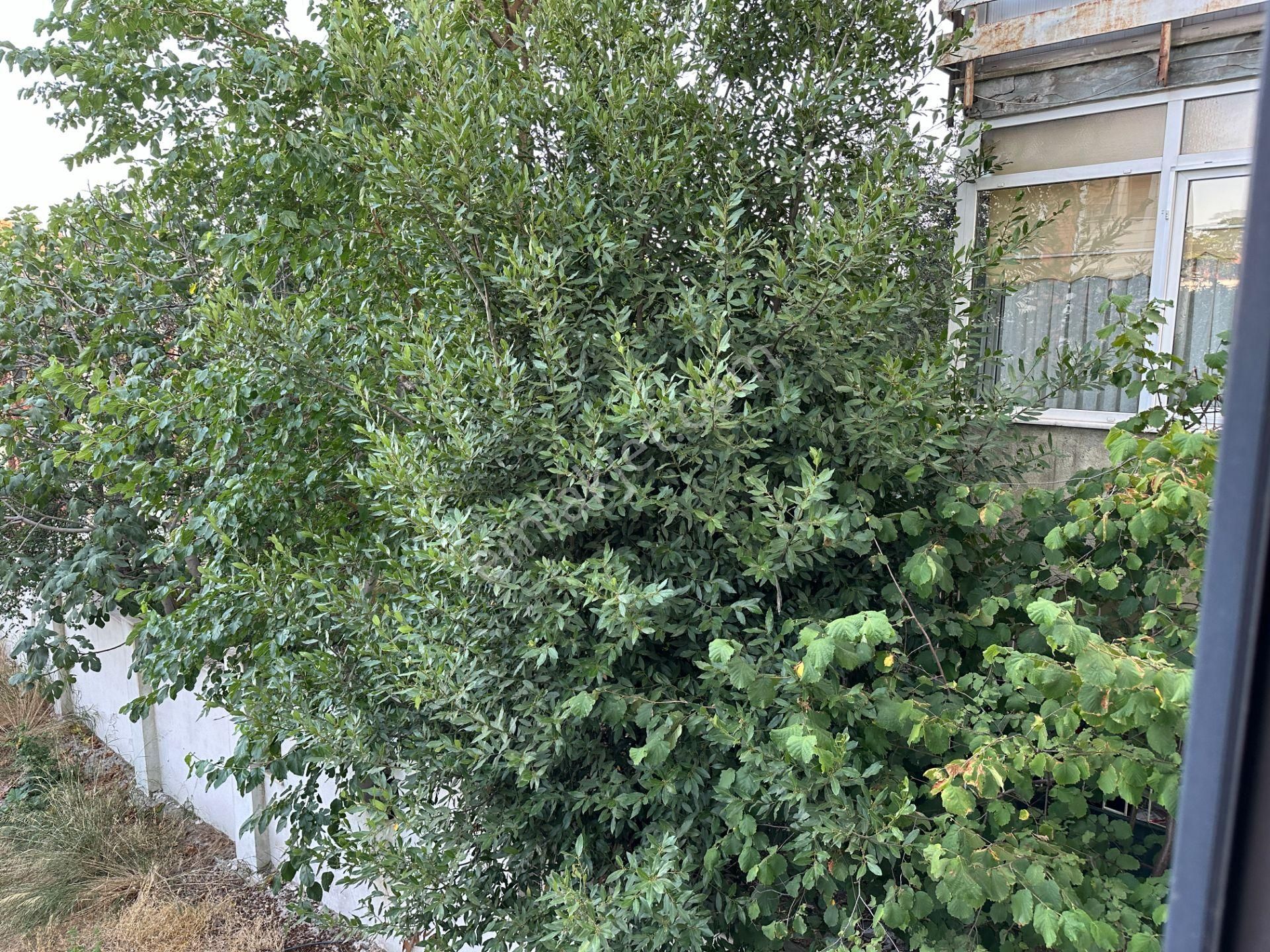 Yankı'dan Nuhkuyusu Cd.de Yeni Binada 1+0 Kiralık 50 M2 Daire - Görsel 7