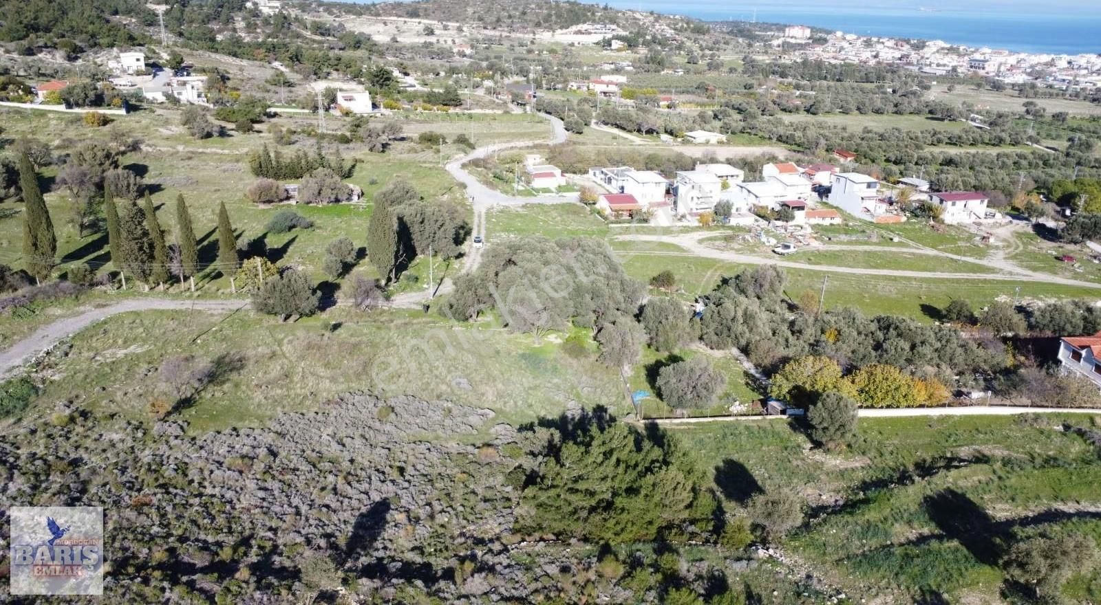 Mordoğan'da Yerleşim Yerine Çok Yakın Zeytin Ağaçlı Satlık Tarla - Görsel 6