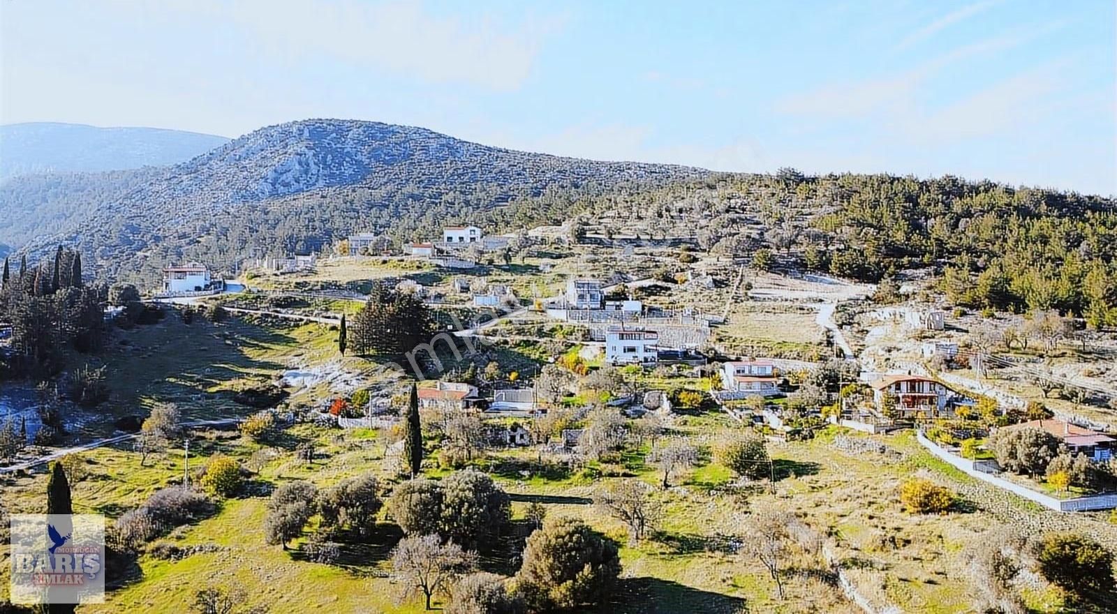 Mordoğan'da Yerleşim Yerine Çok Yakın Zeytin Ağaçlı Satlık Tarla - Görsel 7