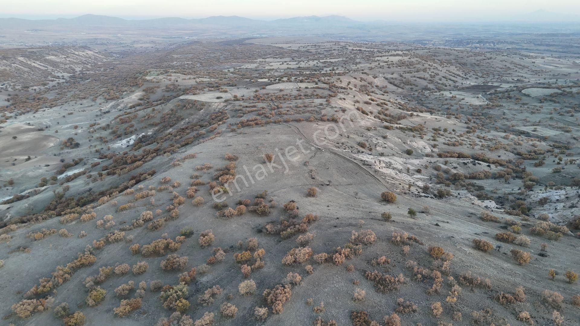 Konya / Meram / Yeşildere Mahallesinde 2.174 M² Müstakil Tapulu Tarla - Görsel 5