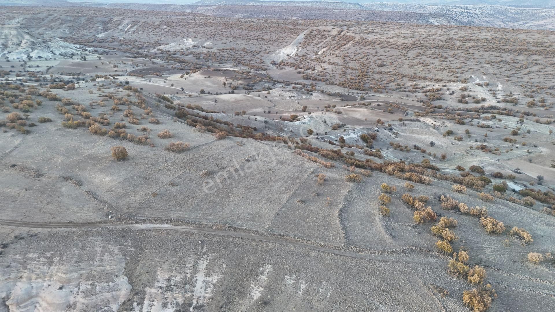 Konya / Meram / Yeşildere Mahallesinde 2.174 M² Müstakil Tapulu Tarla - Görsel 7