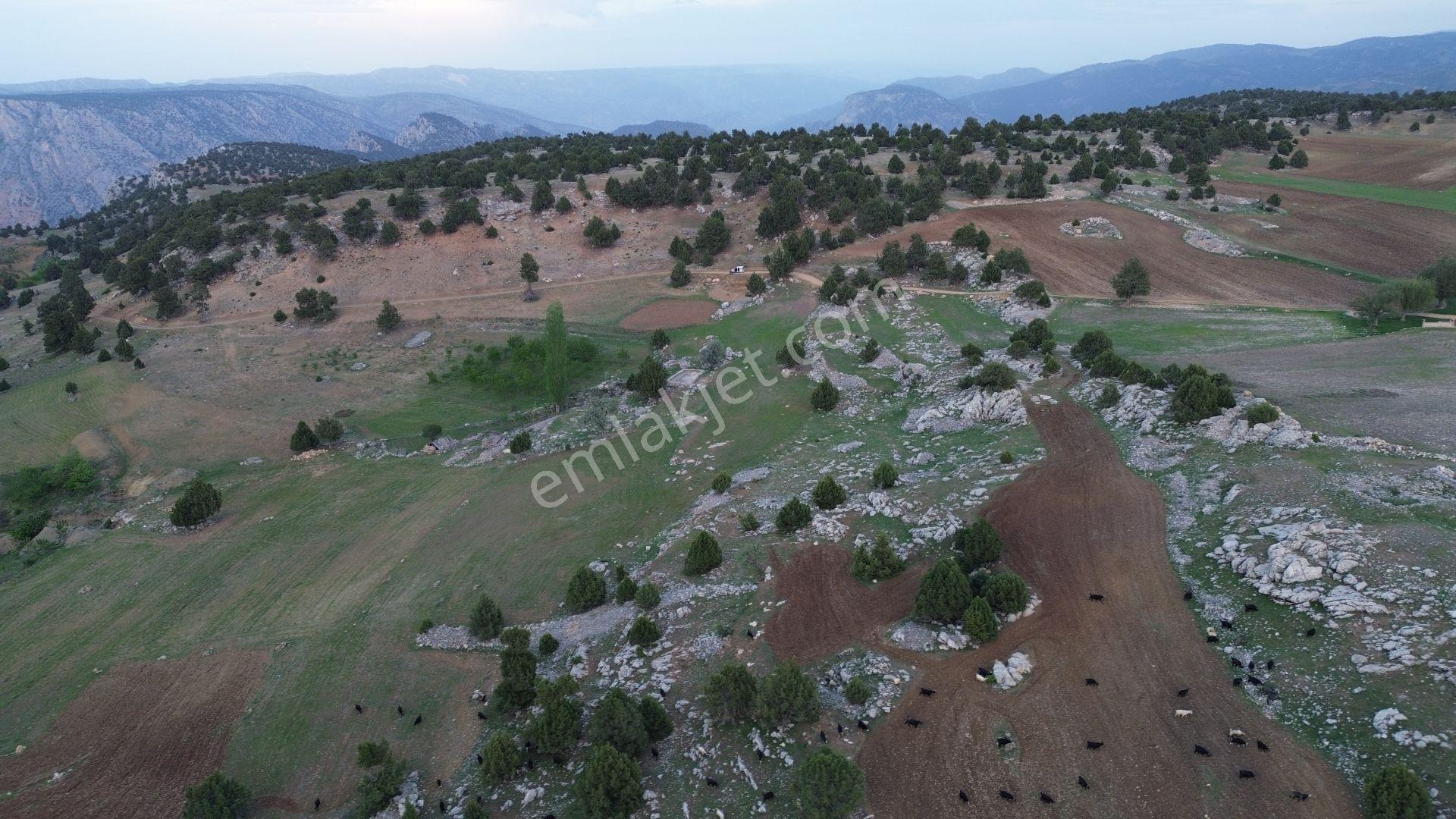 Karaman / Merkez / Yukarı Kızılca Mahallesinde 636 M² Müstakil Tapulu Tarla - Görsel 2