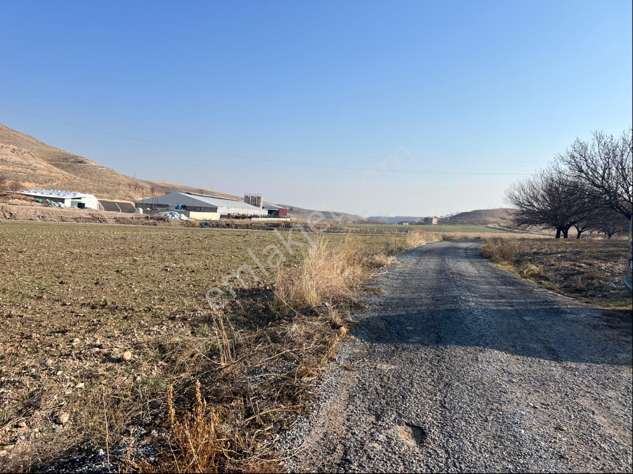 Yeşilyurt Kırkpınar Satılık Tarla - Görsel 10