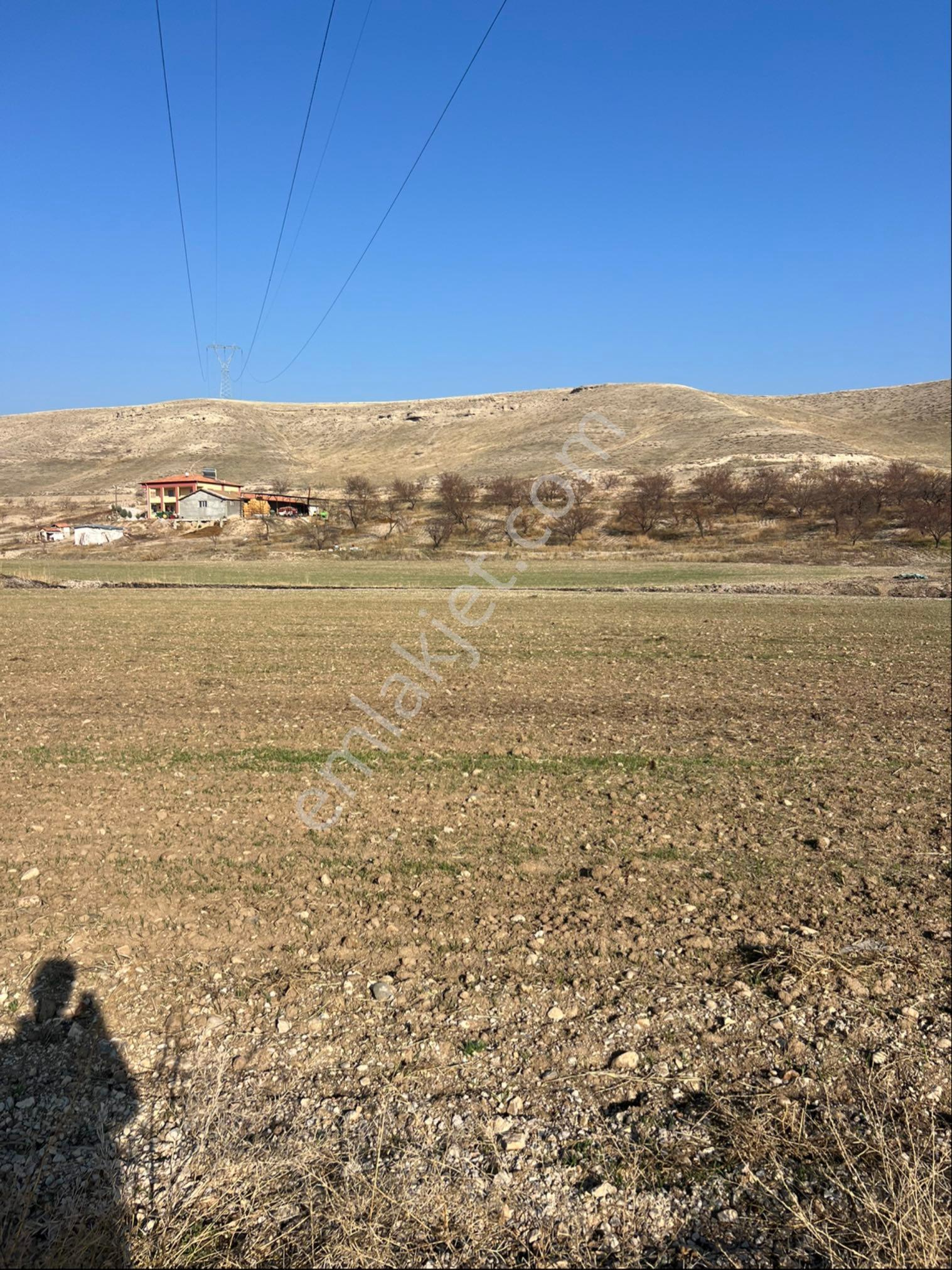 Yeşilyurt Kırkpınar Satılık Tarla - Görsel 7