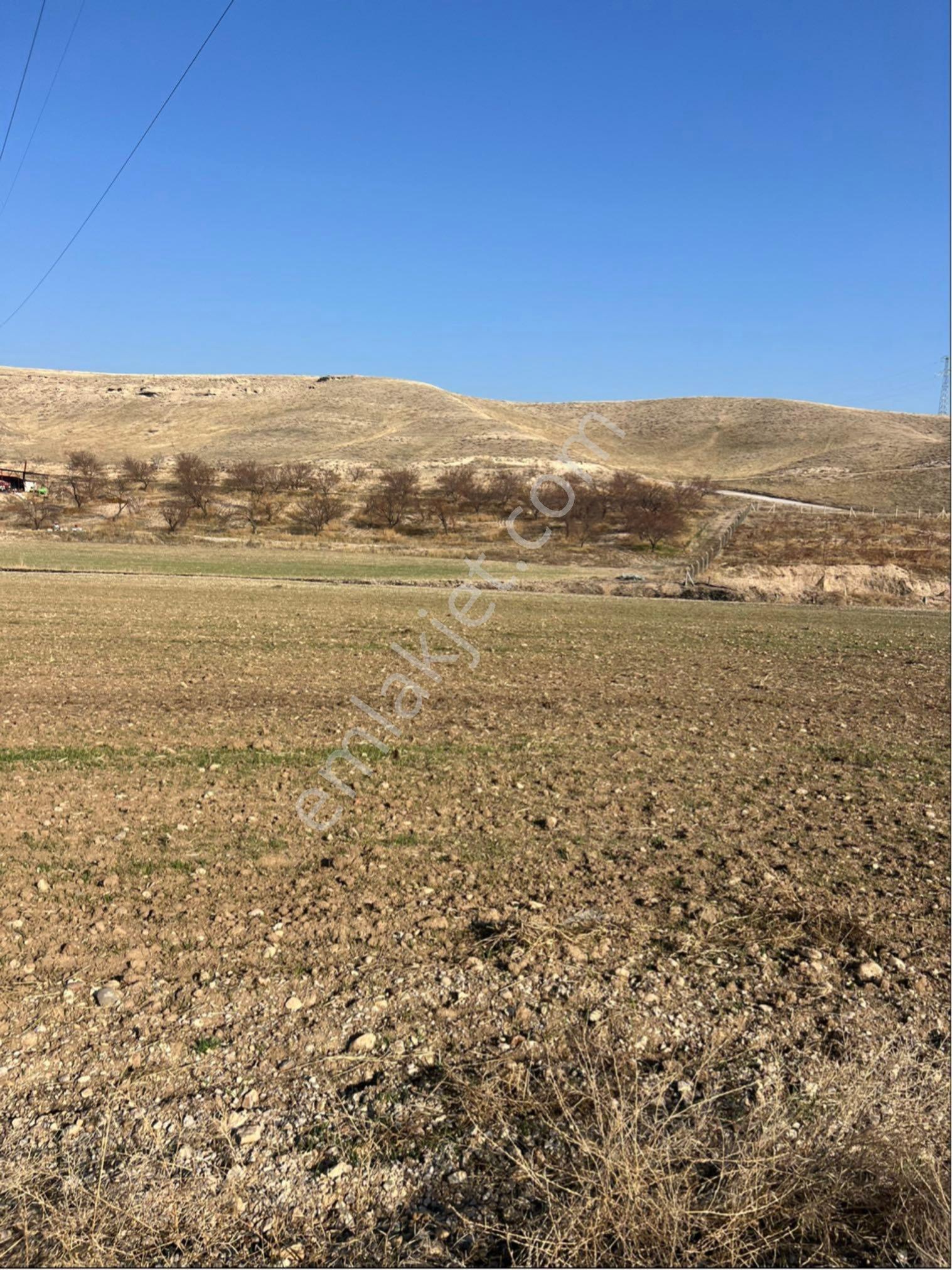Yeşilyurt Kırkpınar Satılık Tarla - Görsel 8