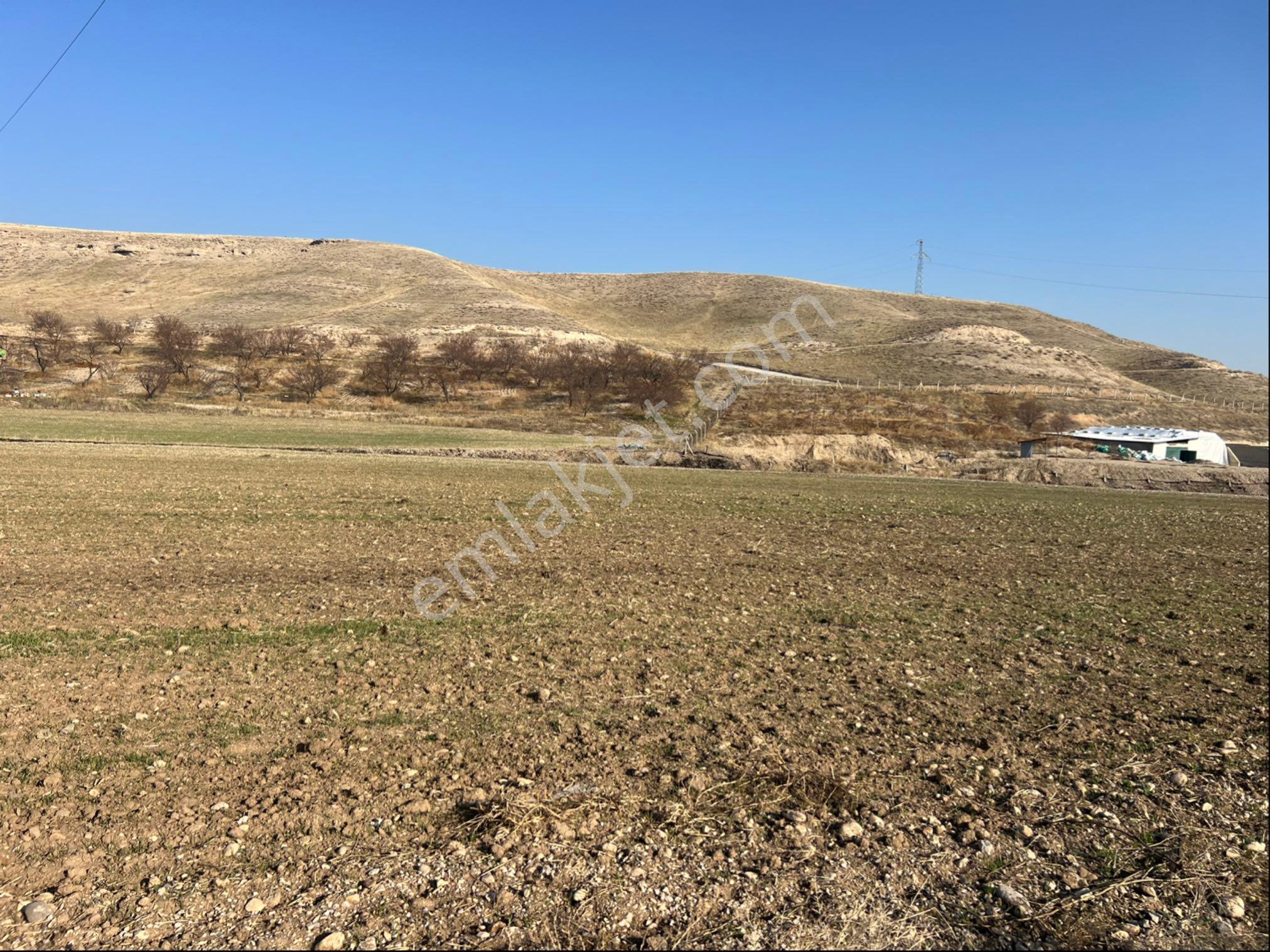 Yeşilyurt Kırkpınar Satılık Tarla - Görsel 11